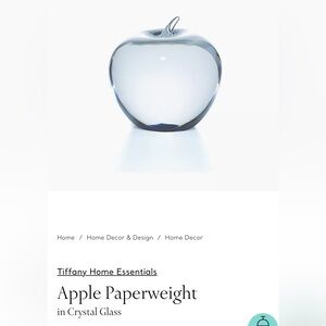 NEW Tiffany & Co Apple Crystal Paper Weight